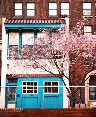 Little blue house
